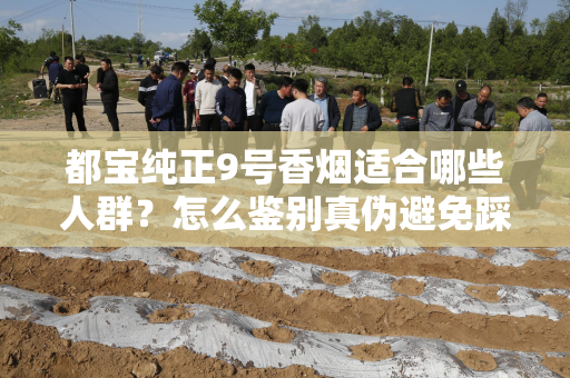 都宝纯正9号香烟适合哪些人群？怎么鉴别真伪避免踩坑？